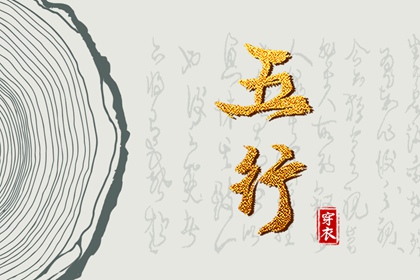 紫微合婚 八字本命盘 算命紫微排盘 紫微大全 命盘田宅宫看房产